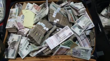 ضربة أمنية.. ضبط 7 ملايين جنيه خلال ملاحقة تجار النقد الأجنبي بالسوق السوداء